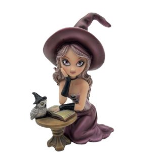 Beautiful Witches 19cm Witch With Owl