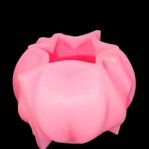 STAR SHAPED ROUND MOULD