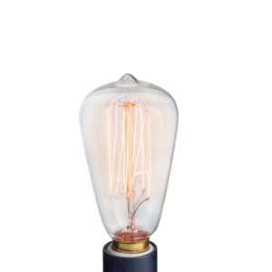 Replacement NP3 Bulb Edison