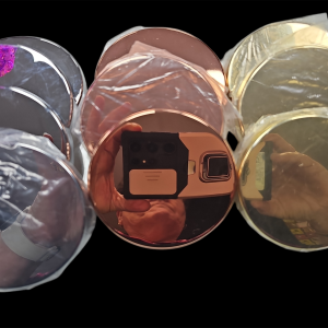 BELLA LIDS 12 PACK Multicoloured
