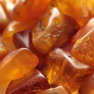 Egyptian Amber 50ml