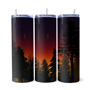 Tumbler with Straw 20oz